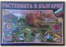 Растенията в България, приложна игра